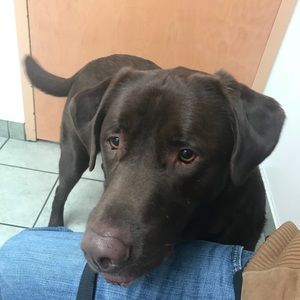 Meet your Posher, Hannah